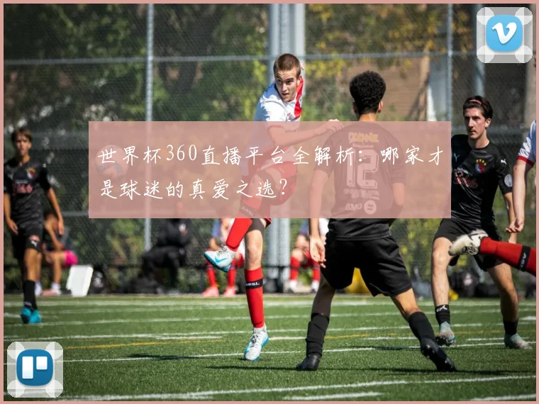 世界杯360直播平台全解析：哪家才是球迷的真爱之选？