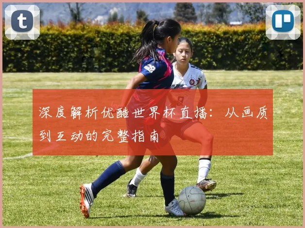 深度解析优酷世界杯直播：从画质到互动的完整指南