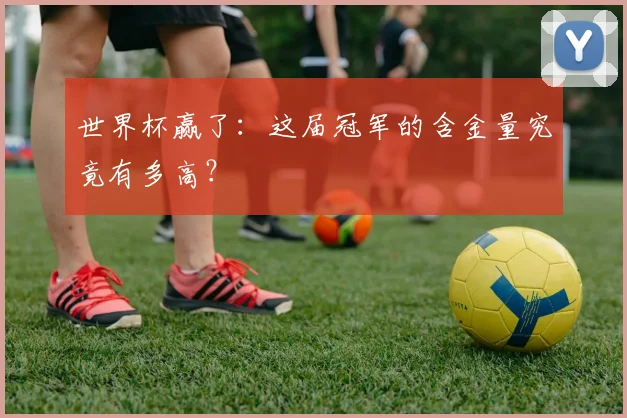 世界杯赢了：这届冠军的含金量究竟有多高？