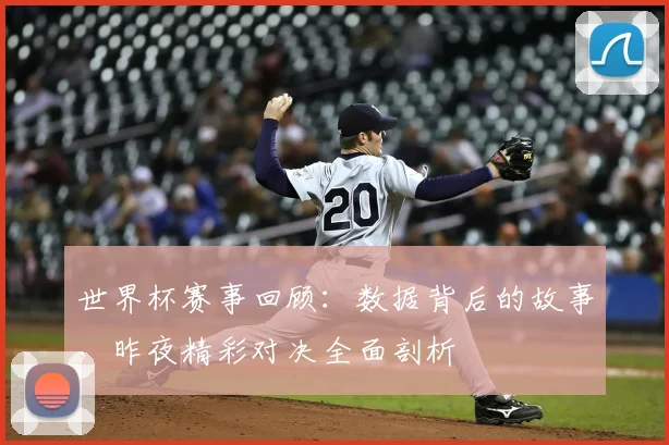 世界杯赛事回顾：数据背后的故事，昨夜精彩对决全面剖析