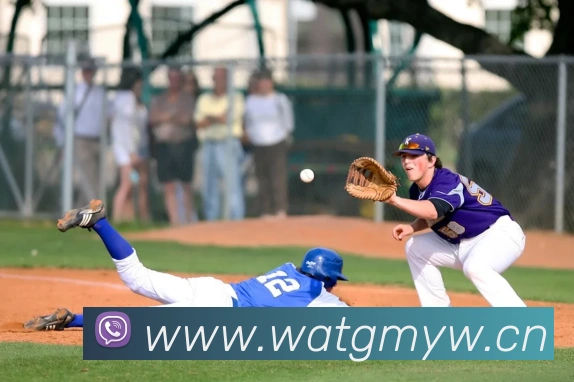 云开体育在线登陆平台生态图